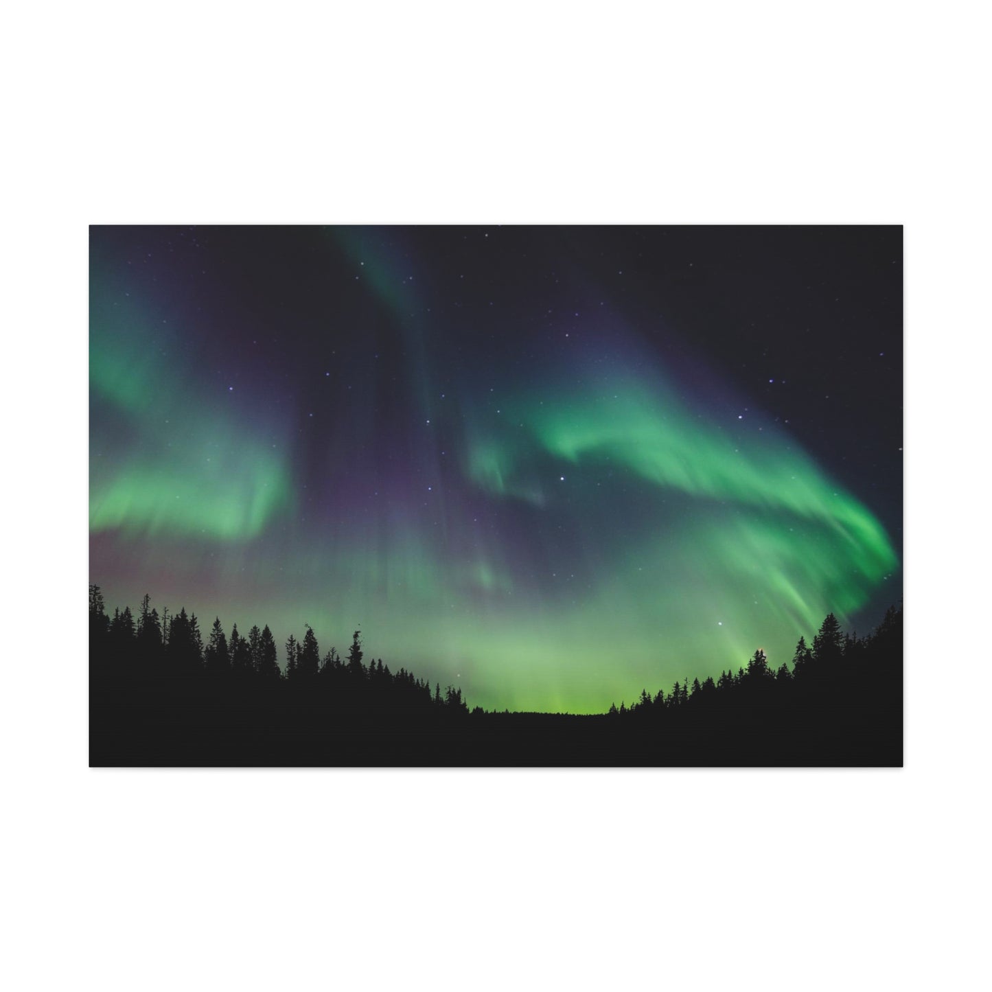 Northern Lights Canvas No.1