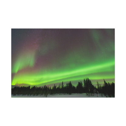 Northern Lights Canvas No.5